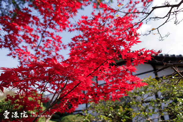 東福寺霊源院