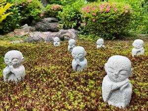 東福寺龍眠庵の樹木葬イメージ