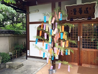 東福寺霊源院の蓮華堂七夕祭